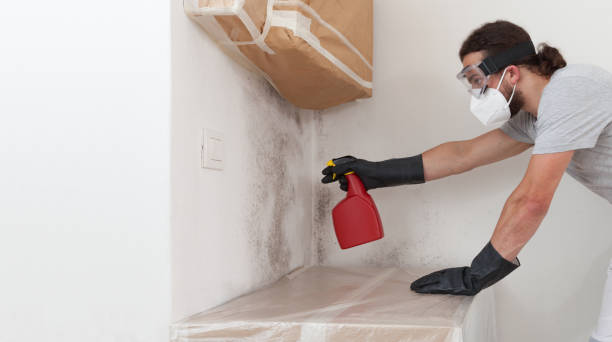 Professional Bathroom Mold Removal technician working in Ridgewood, NJ